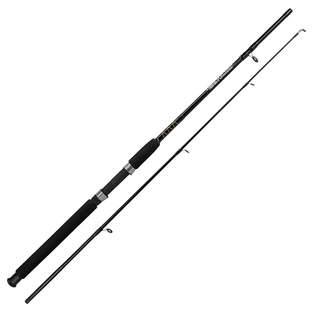 Fishdream Fiber Spinning Spezial zweiteilige Composite-Rute